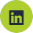 Linkedin icon