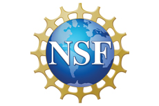 NSF logo