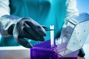 Scientist holding a sample 