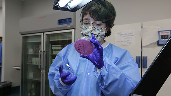 Lab technician inspecting a sample