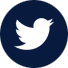 Twitter icon logo